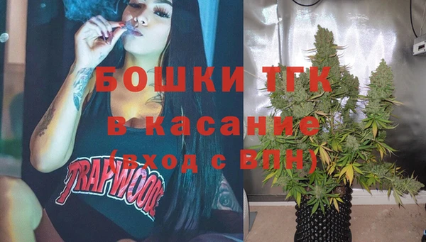 гидра Алексеевка