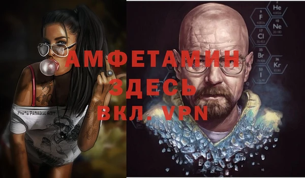 гидра Алексеевка